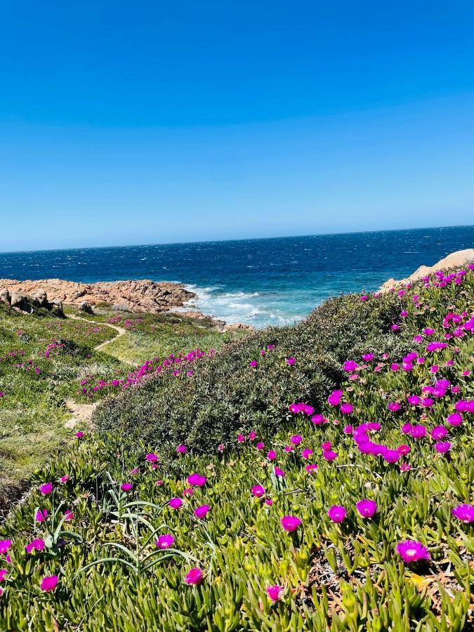 ואלדוריה Zaffiro Casa Vacanze Al Mare מראה חיצוני תמונה
